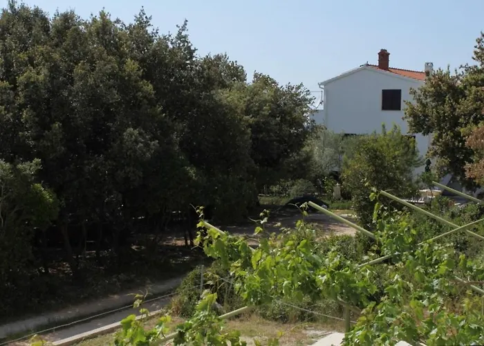 Apartman By The Sea Petrcane, Zadar - 3288